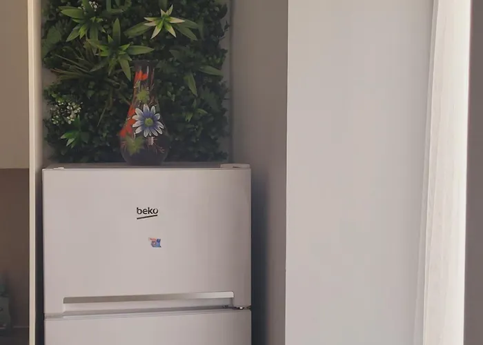 2 *notre Bout Du Monde* Brest