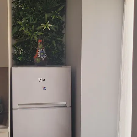 2 *notre Bout Du Monde* 布雷斯特